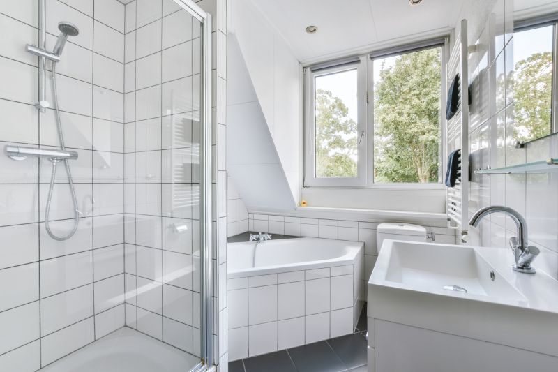 Shower Design Ideas